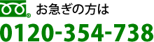 0120-354-738